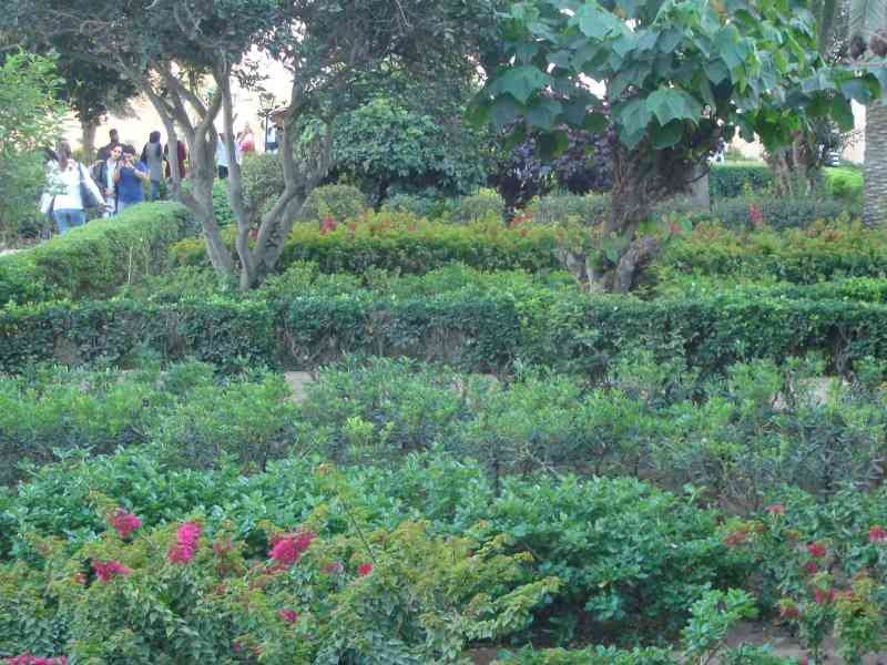 Jardin andalou au cœur de la Kasbah des Oudayas au Maroc photo gratuite
