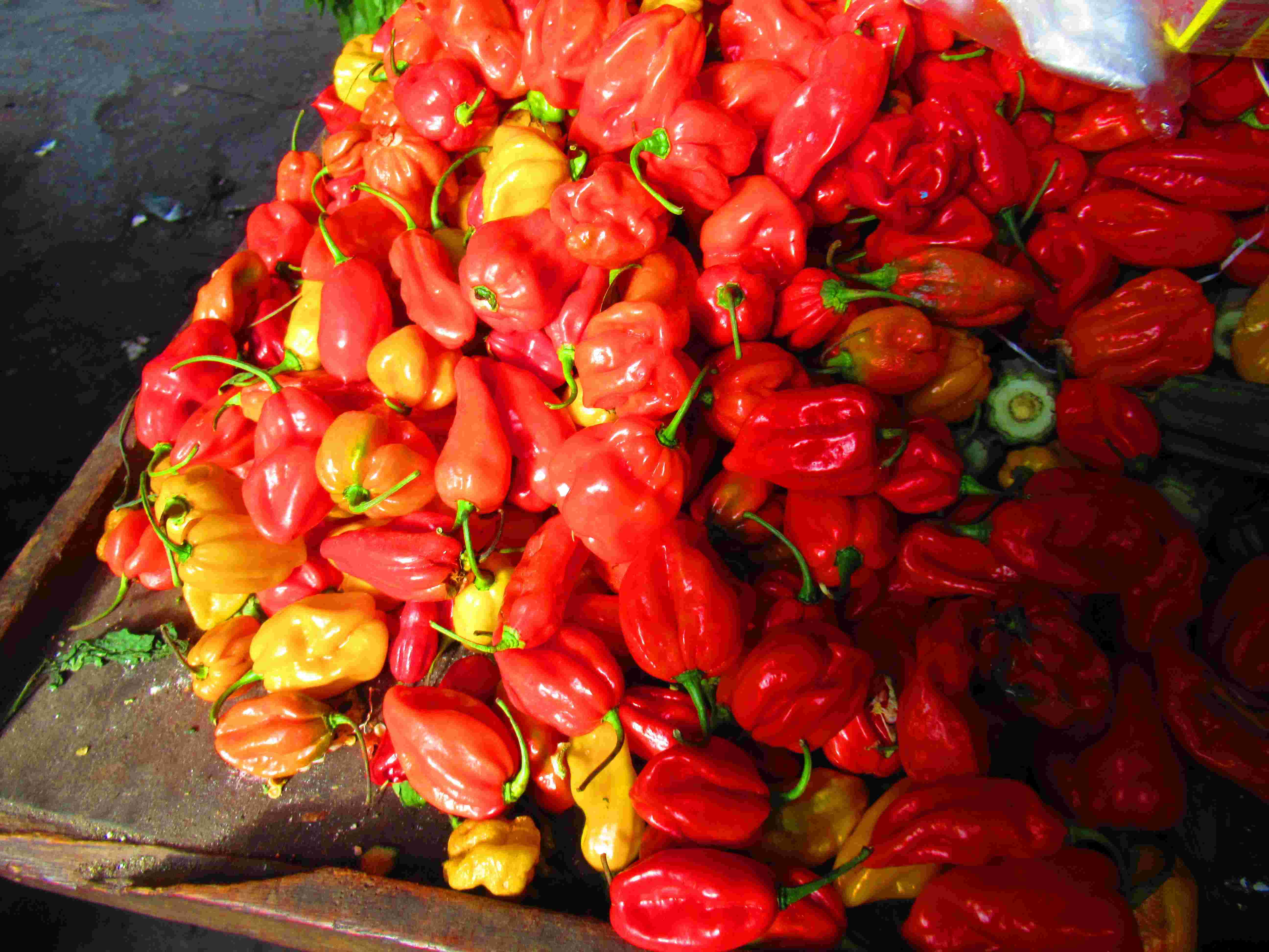 Petits piments rouges