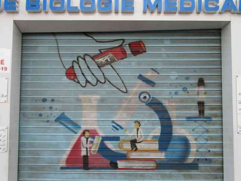 Rideau métallique de laboratoire décoré