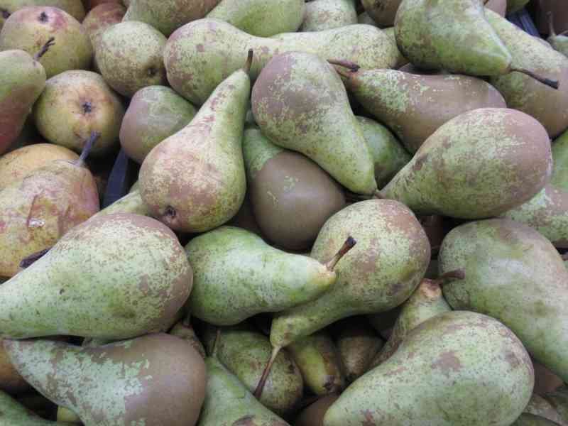 Des poires, photo gratuite