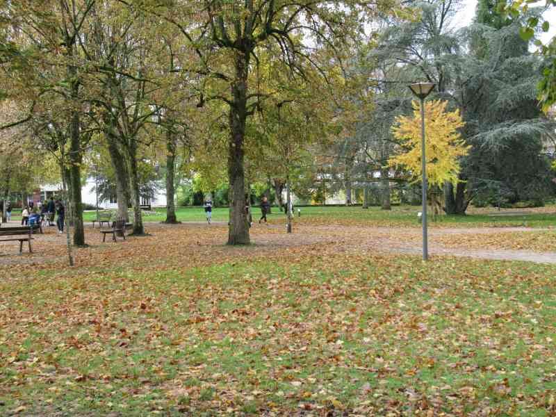 Vue sur un parc couleur d'automne