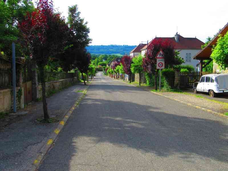 Une rue résidentielle bordée de maisons et d'arbres, photo gratuite