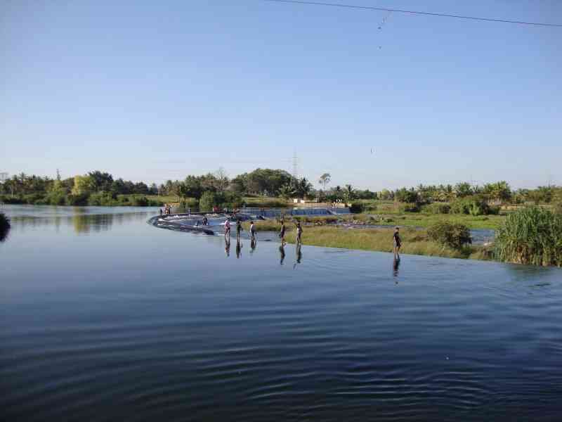Un groupe de personnes se tenant dans une étendue d'eau, une rivière ou un lac, avec de la végétation et des arbres sur les rives, photo gratuite