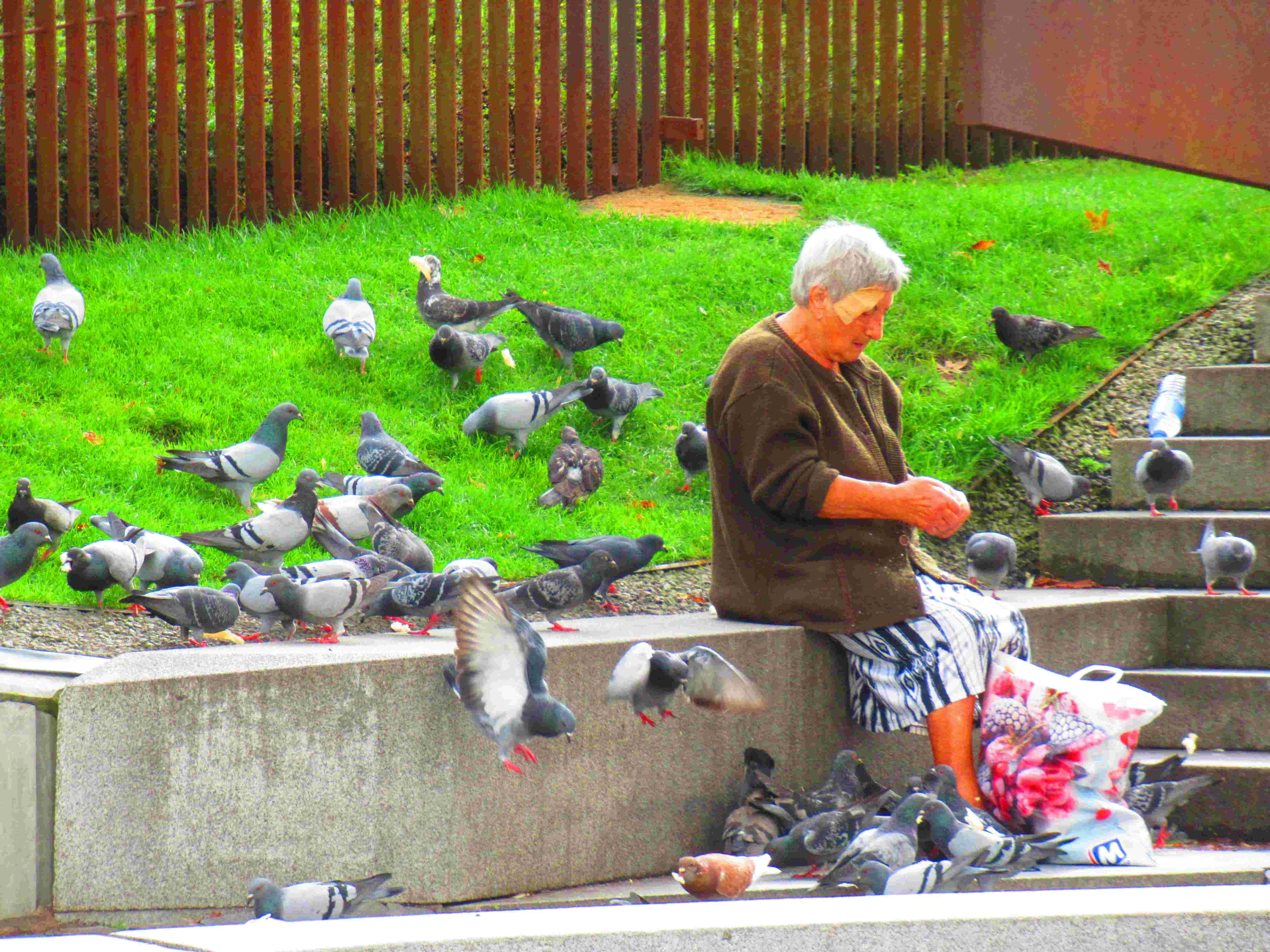 Femme aux pigeons à Porto