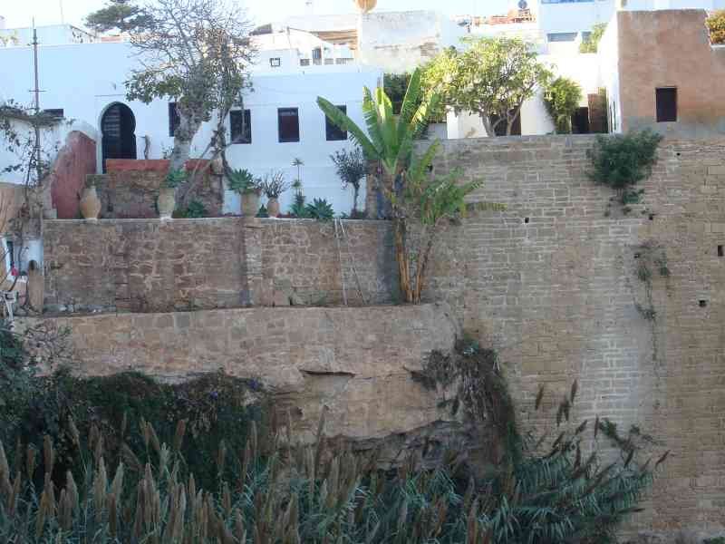 Un mur de fortification en pierre surplombé par des habitations photo gratuite