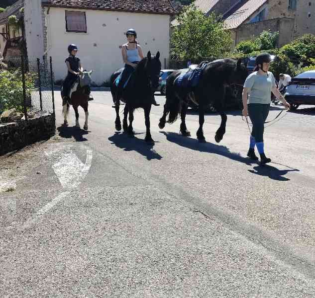 Promenade en chevaux dans un village, photo gratuite