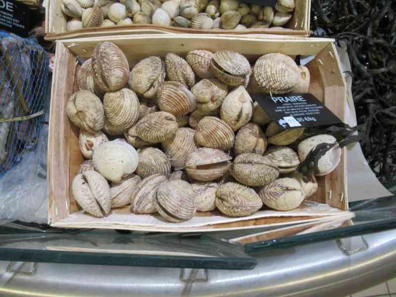 De praires, des coquillages, fruits de mer, photo gratuite