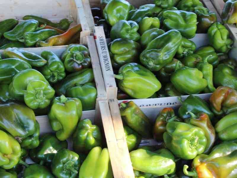 Poivrons verts, photo gratuite