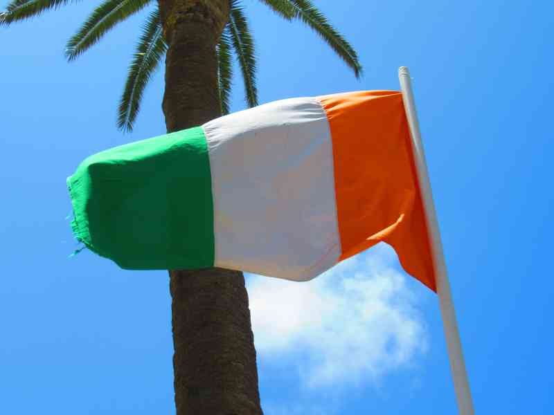 Le drapeau national de l'Irlande devant un palmier, photo gratuite