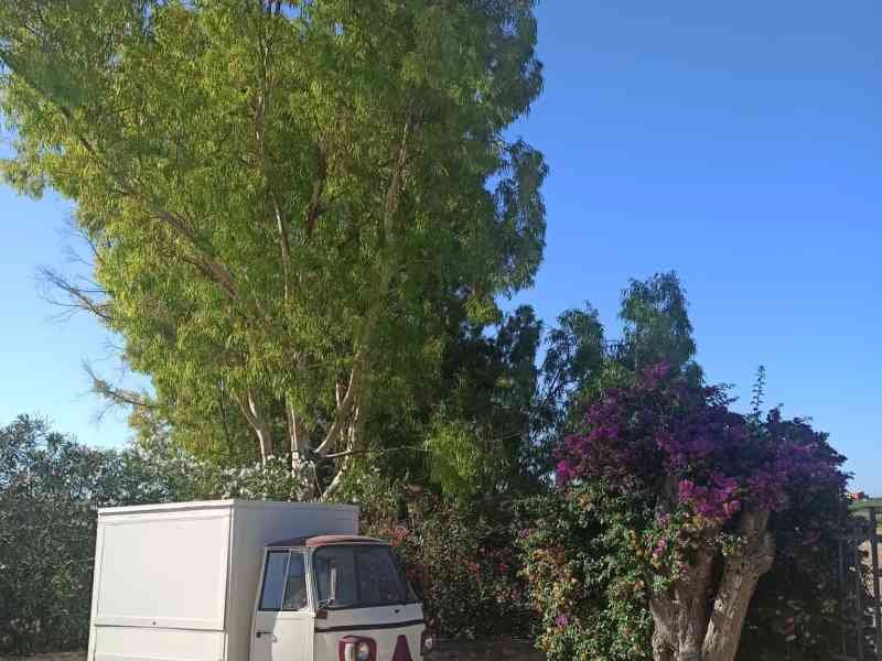Ape Piaggio dans le jardin à Sicile photo gratuite
