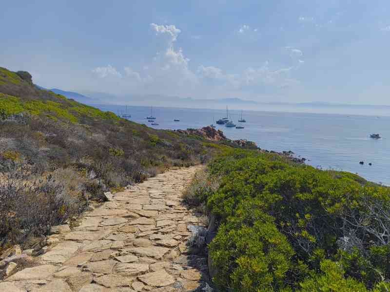 Un chemin de pierre entouré de végétation menant à la mer, photo gratuite