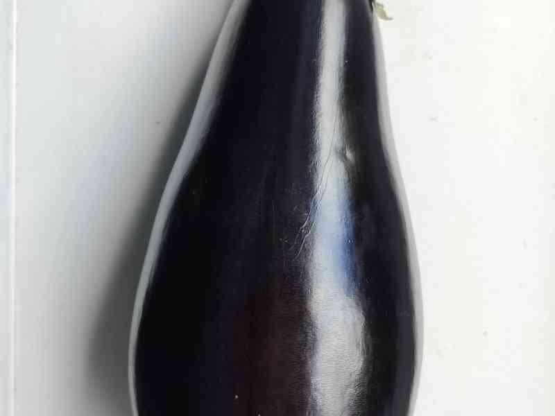 Aubergine violette mûre