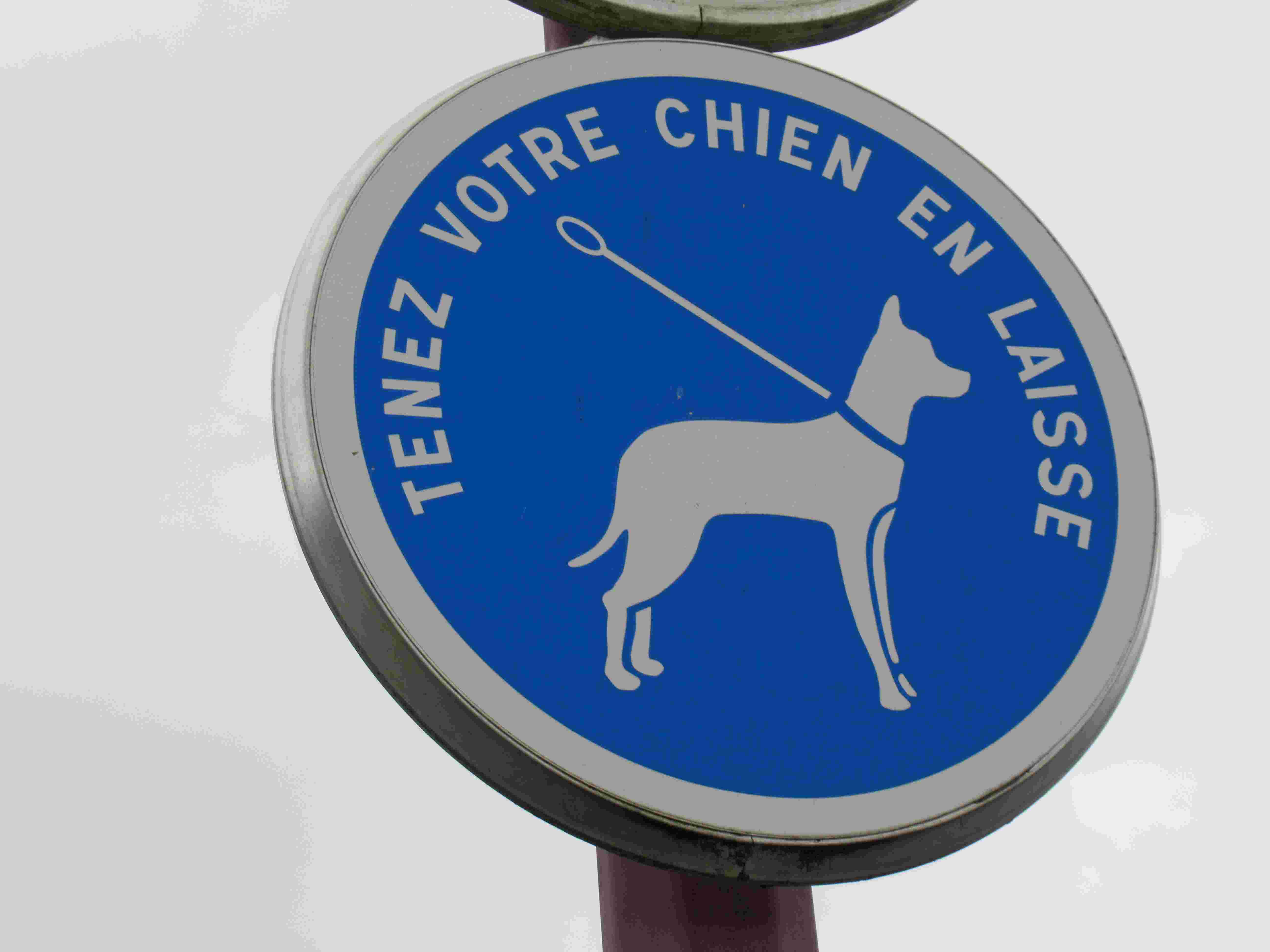 Signalisation : panneau chien en laisse - Photos gratuites