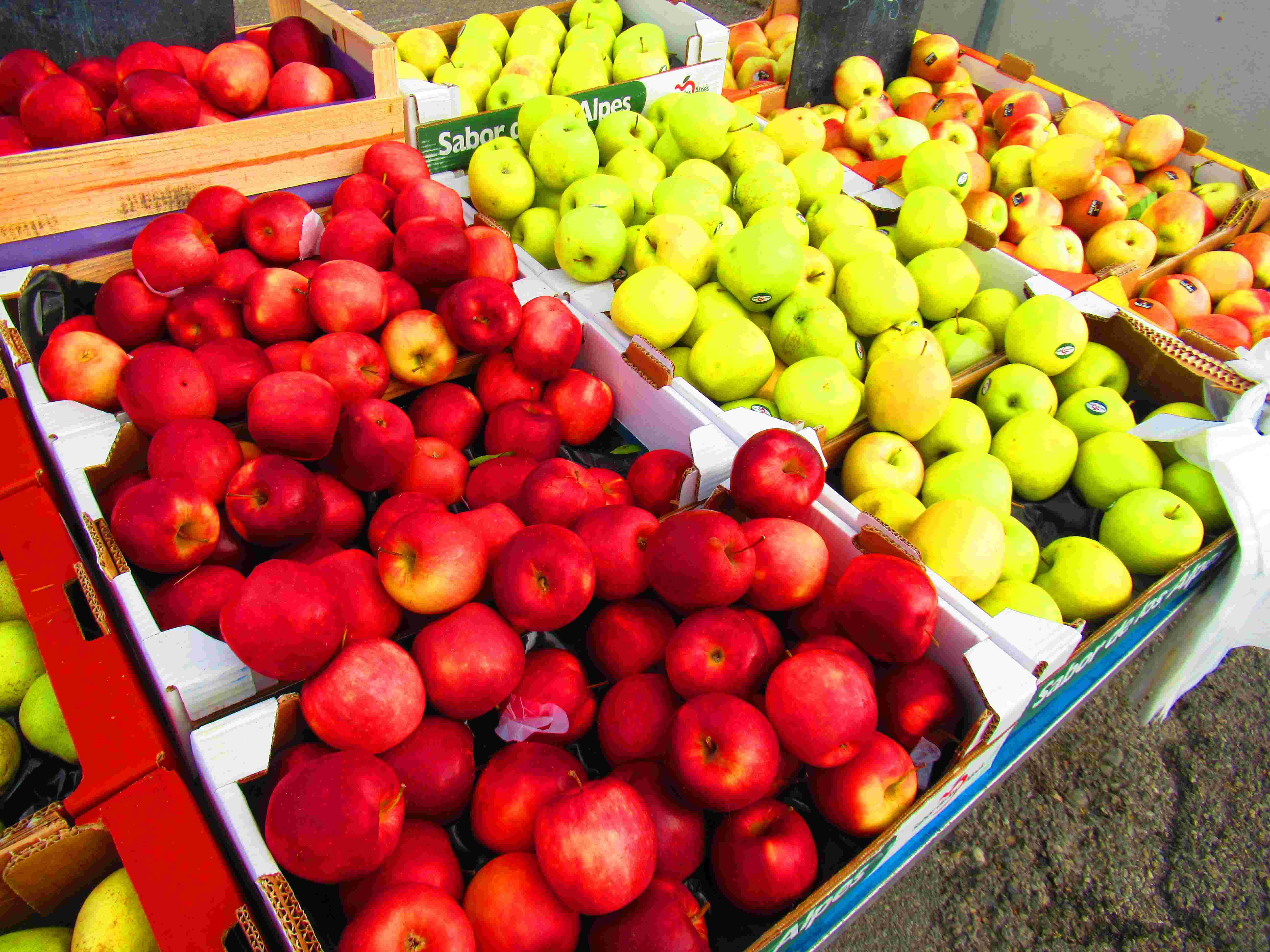 Variétés de pommes jaunes rouges multicolores