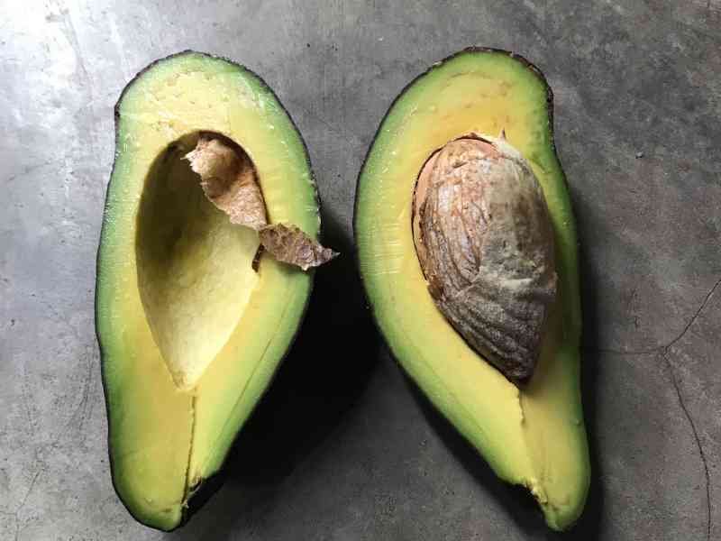 Un avocat en deux part photo gratuite