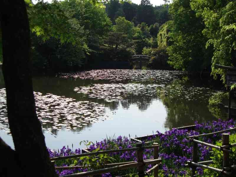 Grand jardin de promenade qui comprend un étang, le Kyoyochi, photo gratuite