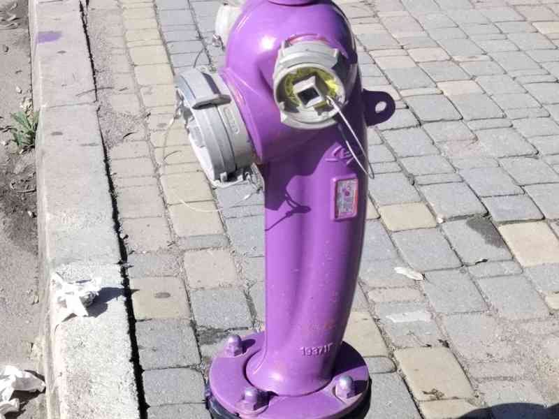 Poteau d'incendie de couleur mauve