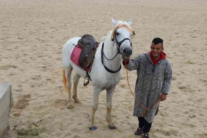 Le gardien du cheval blanc photo gratuite