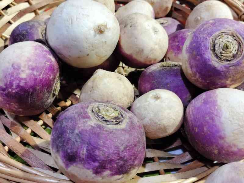 Légumes navets violets en vente dans un panier photo gratuite