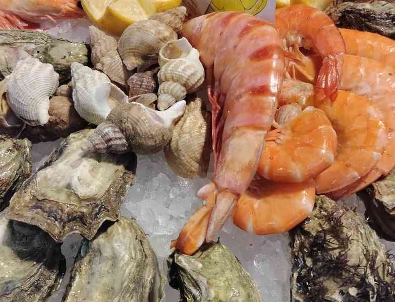 Plateau de fruits de mer, photo gratuite