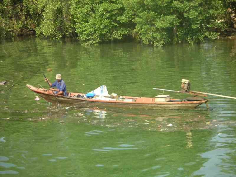 Un homme dans une pirogue sur une étendue d'eau entouré de végétation, photo gratuite