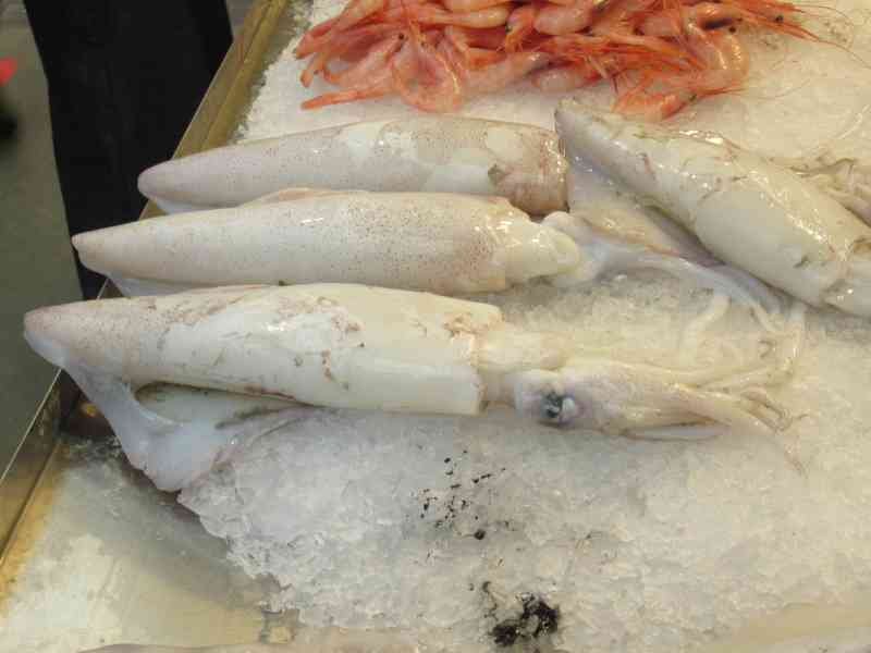 Des calmars et des crevettes frais sur de la glace, photo gratuite