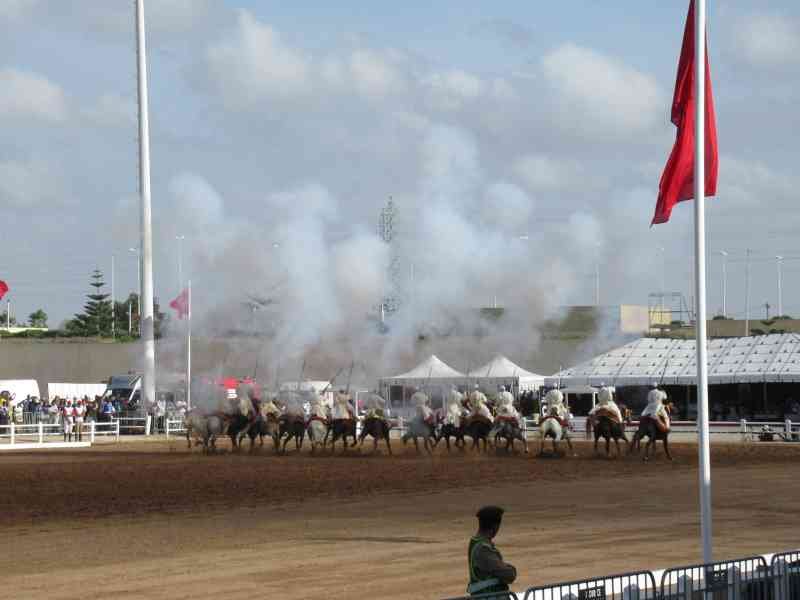 Tir final de démonstration de fantasia Salon international du cheval d'El Jadida