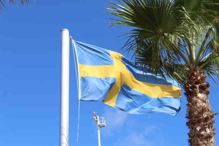 drapeau de la Suède flottant près d'un palmier photo gratuite - Schwedische Flagge weht in der Nähe einer Palme, kostenloses Foto