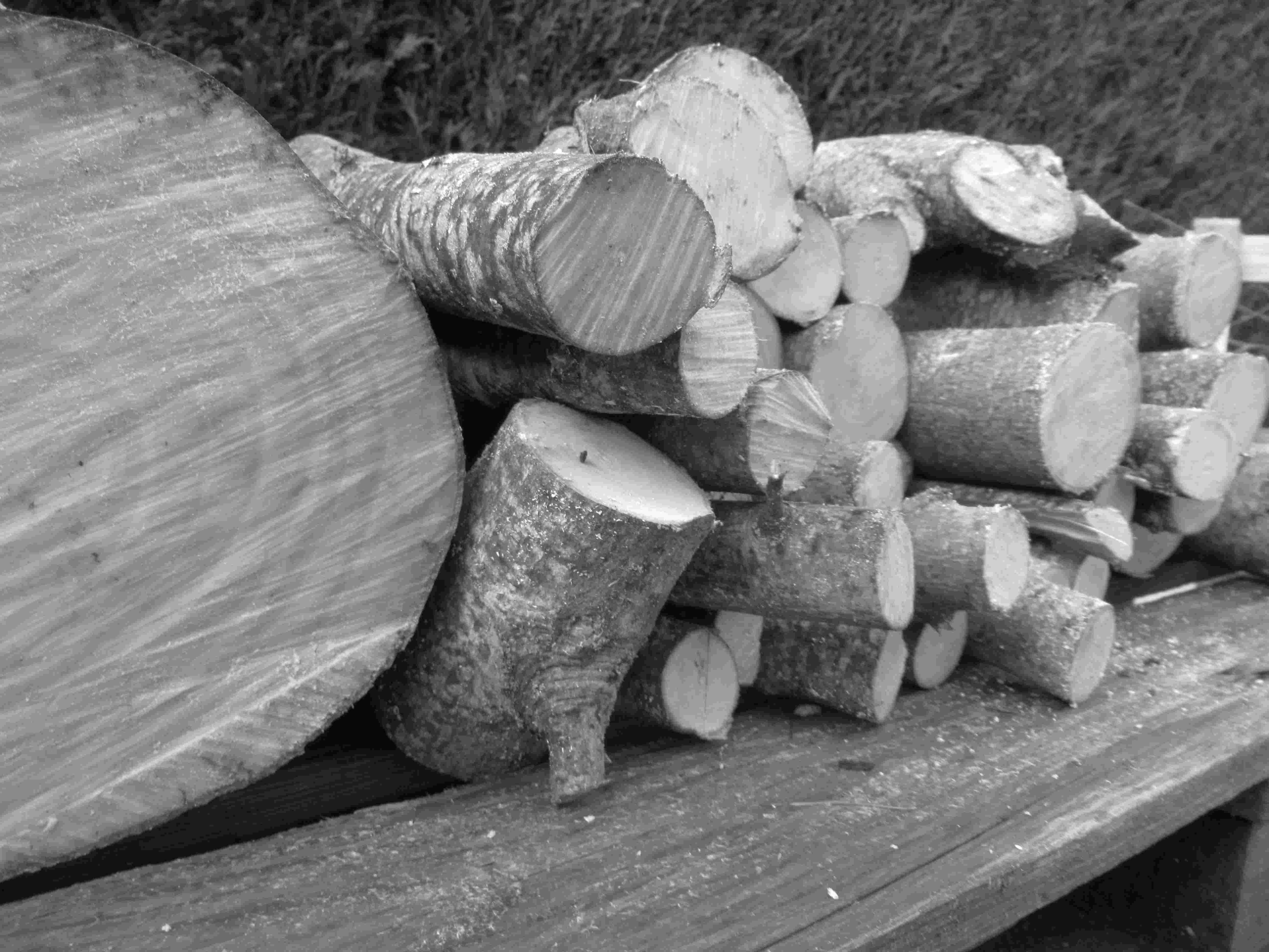 Troncs d'arbre coupés en noir et blanc, buches