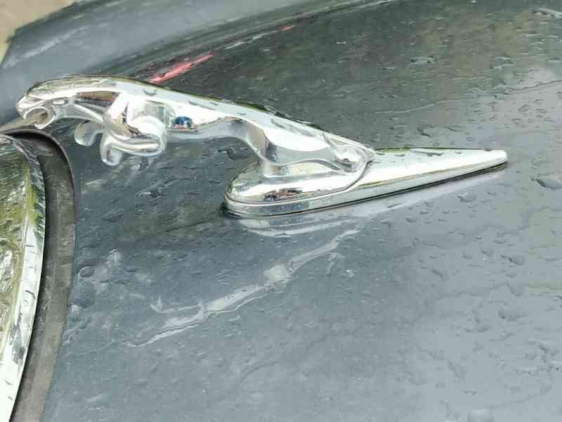 Mascotte au bout du capot d'une Jaguar