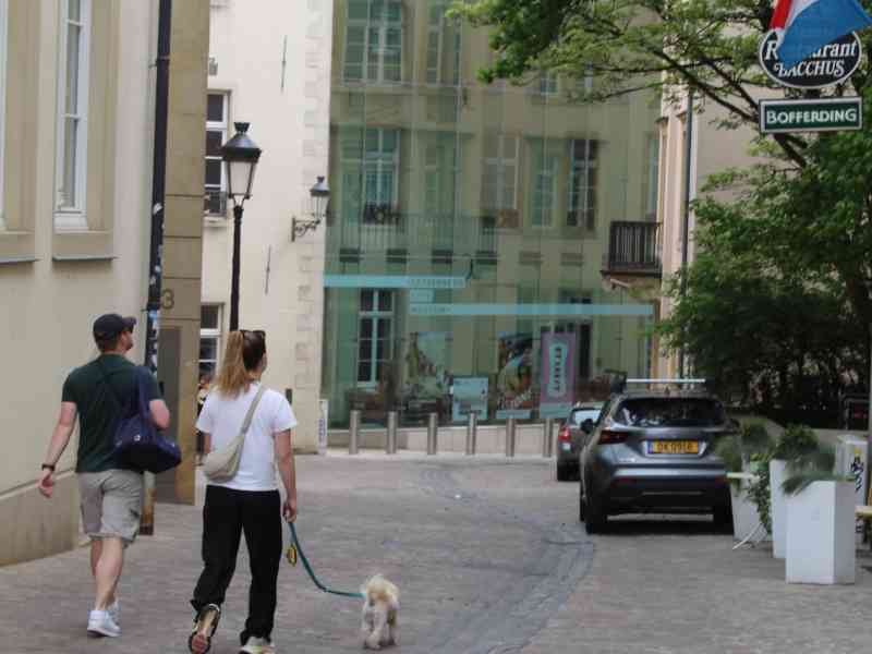 Promenade avec le chien dans la ville de Luxembourg, photo gratuite