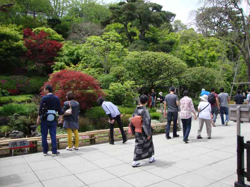 Des personnes dans le jardin du temple hasedera, arbre, Japon, Asie, photo gratuite