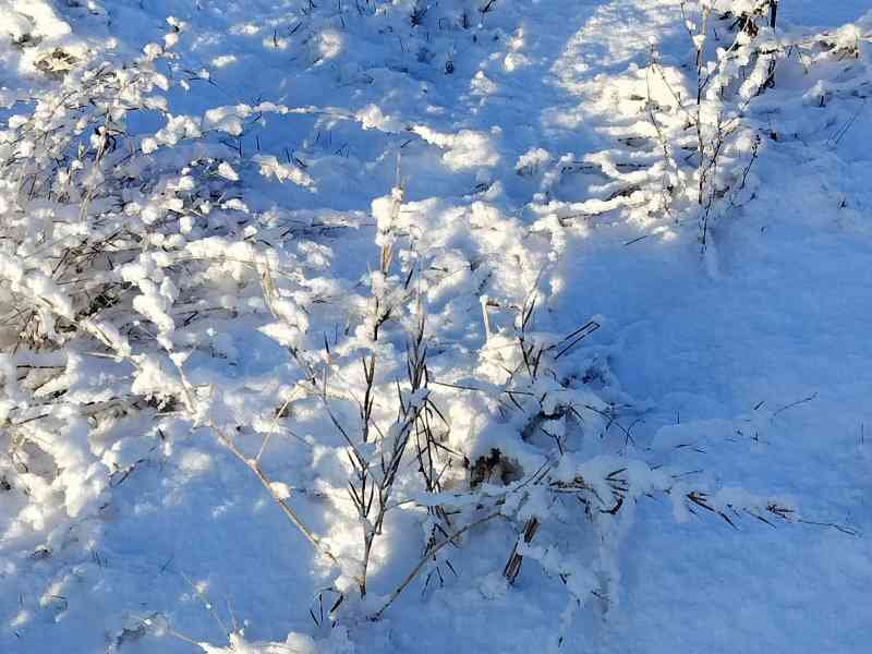 Un paysage enneigé, photo gratuite