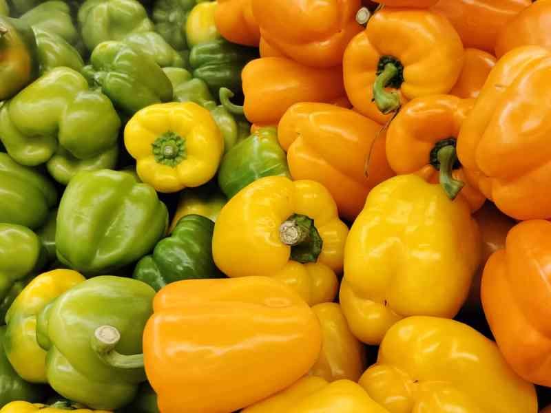 poivrons des différentes couleurs photo gratuite