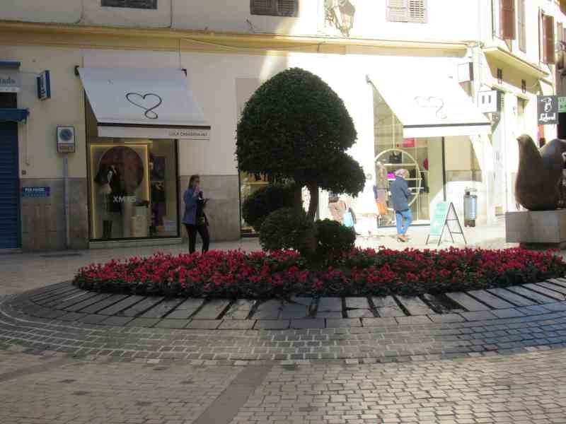 Une rue commerçante, un parterre de fleurs entourant un arbre au centre de la ruelle à Malaga en Andalousie, photo gratuite