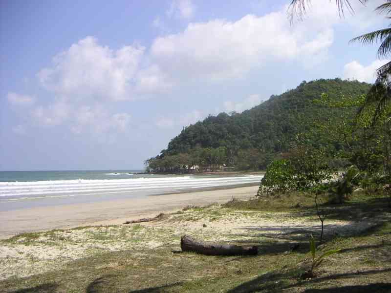 Une plage avec du sable, l'océan avec des vagues, et une colline verdoyante couverte d'arbres en arrière-plan, photo gratuite