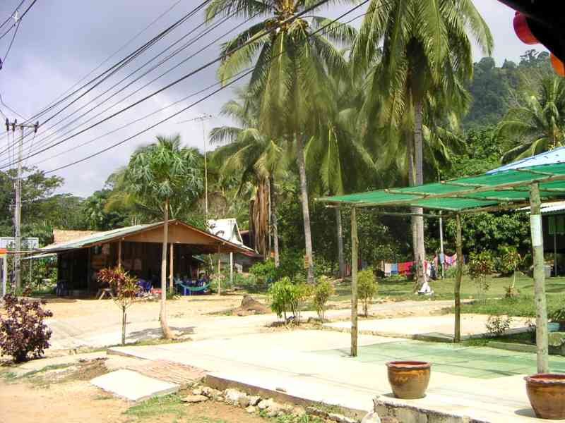 Un village ou une zone côtière, caractérisée par la présence de nombreux palmiers, photo gratuite