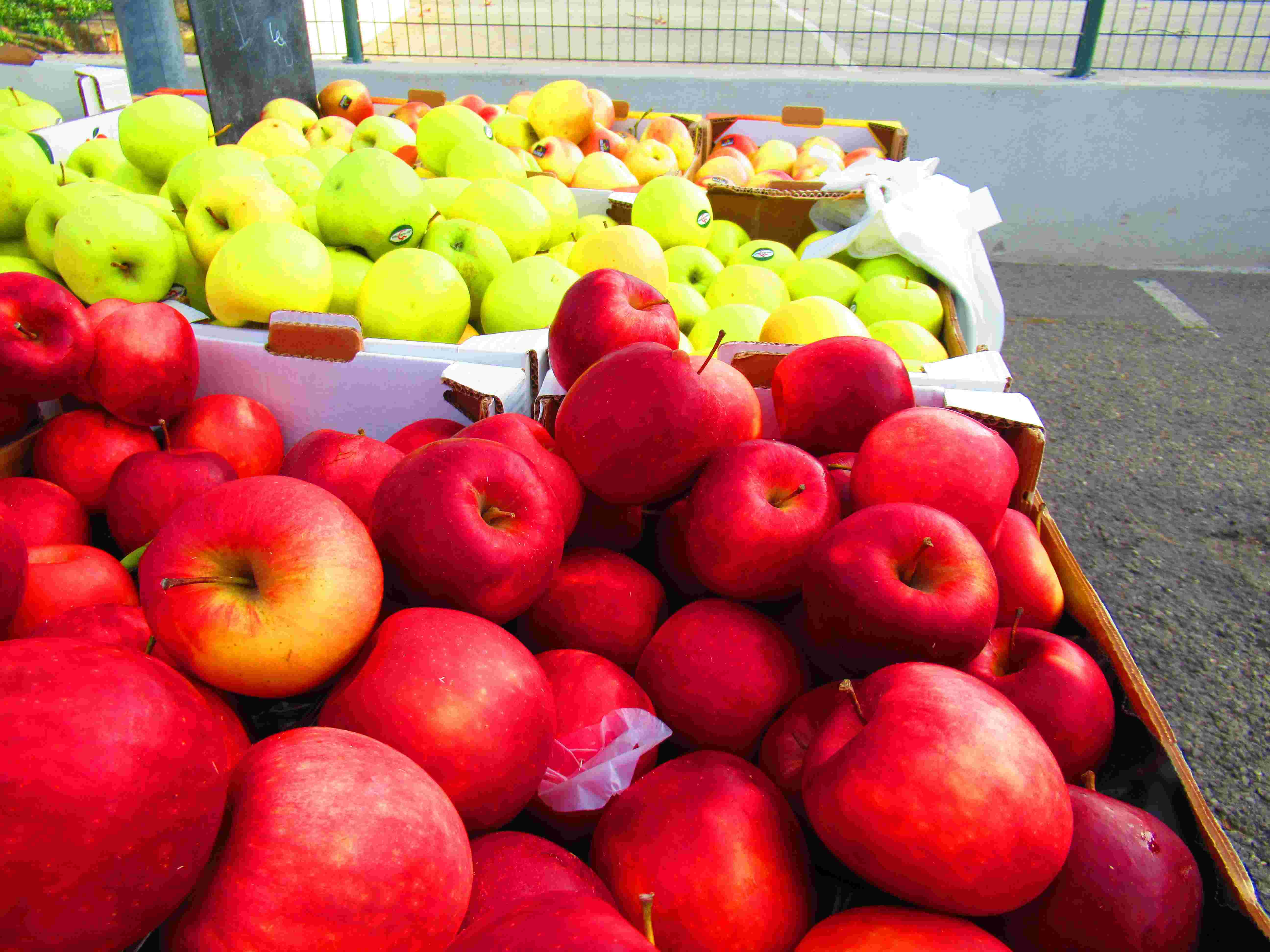 Étal pommes rouges, pommes jaunes, marché