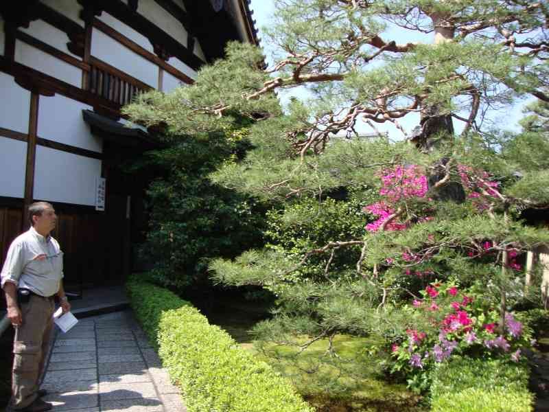 Un homme devant un arbre, Japon, Asie, photo gratuite