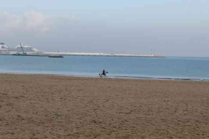 Un cavalier monte un cheval au bord de la plage près d'un port photo gratuite