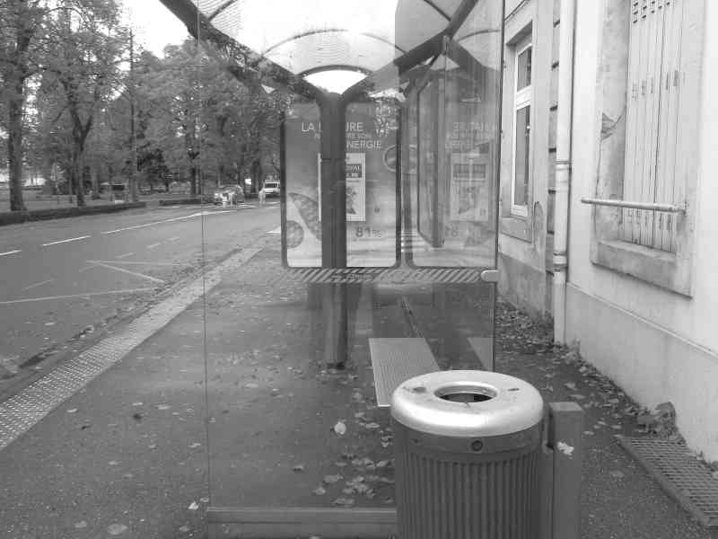 Poubelle publique près d'un abribus en verre