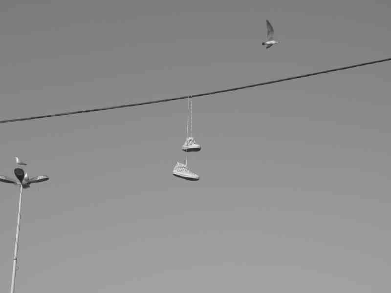 Une paire de chaussures suspendues à un câble photo gratuite