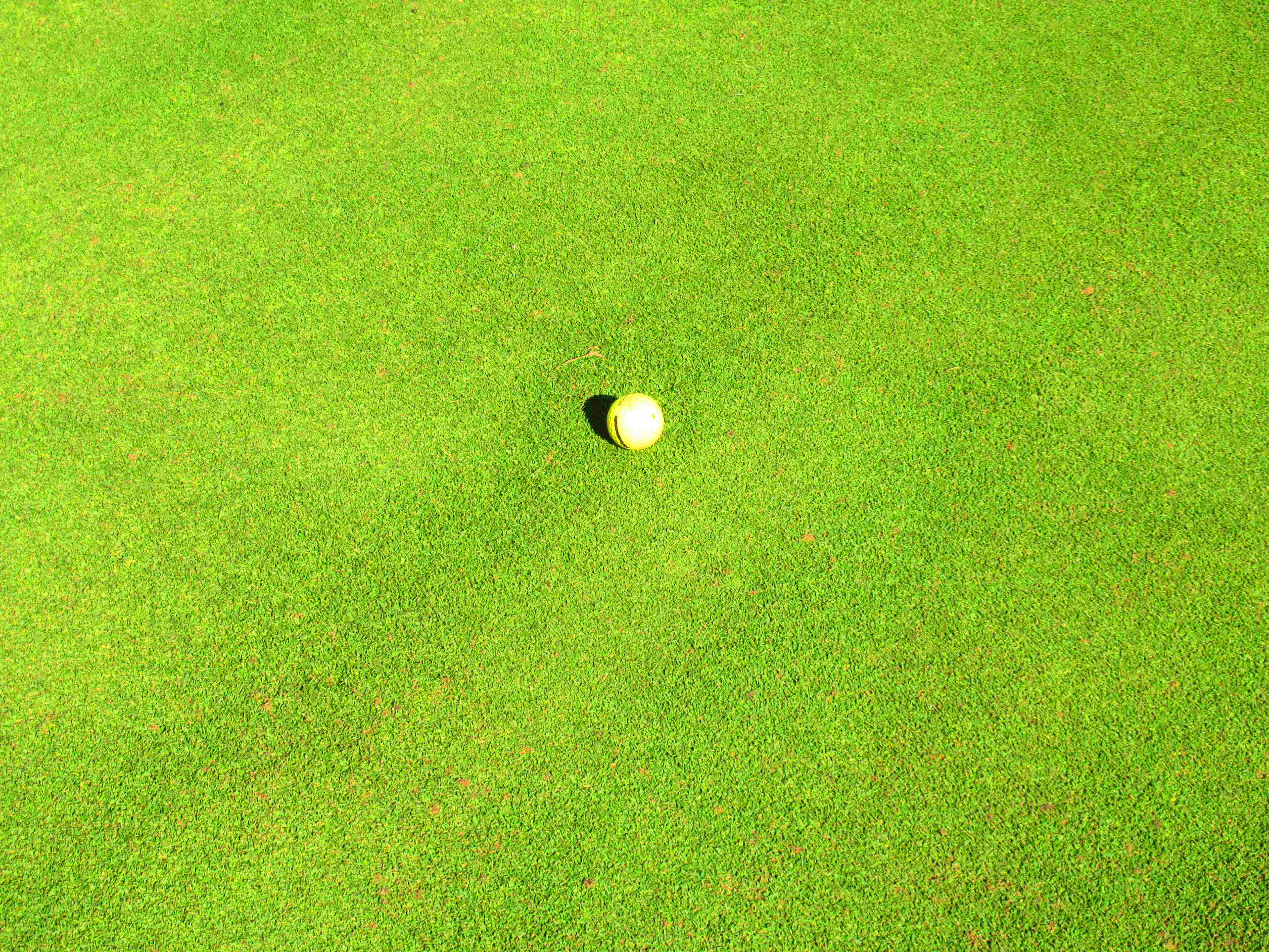 balle de golf sur green