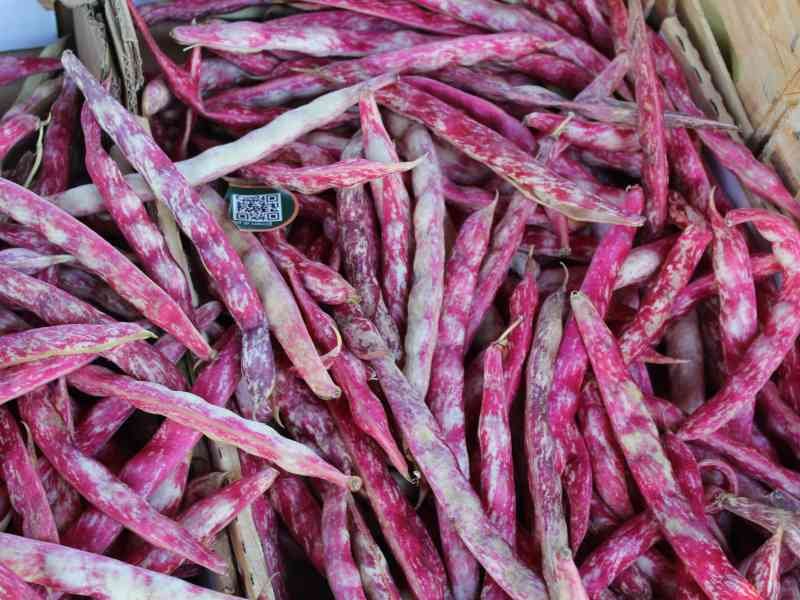 Des haricots cranberry, photo gratuite