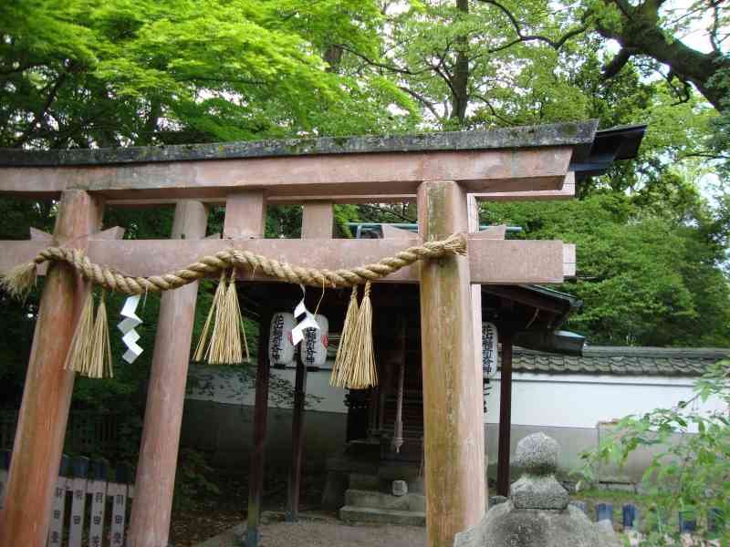 Gros plan sur un Torii en bois à l'entrée d'un temple bouddhiste à Kyoto au Japon photo gratuite