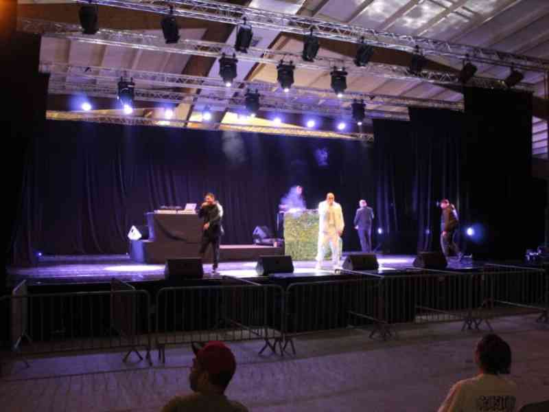 Les artistes musiciens en plein concert photo gratuite