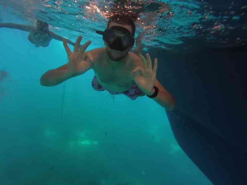 Des personnes en train de faire de la plongée sous l'eau, photo gratuite