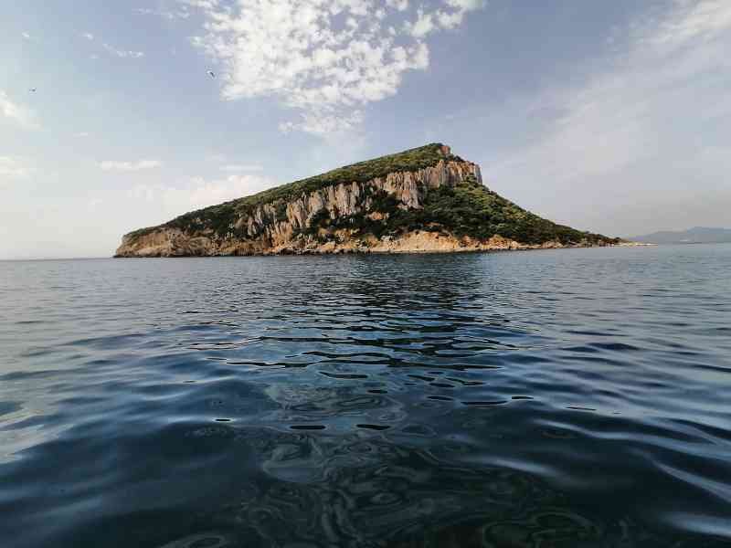L'île Figarolo à Sardaigne sur la plage de Golfo Aranci en Italie