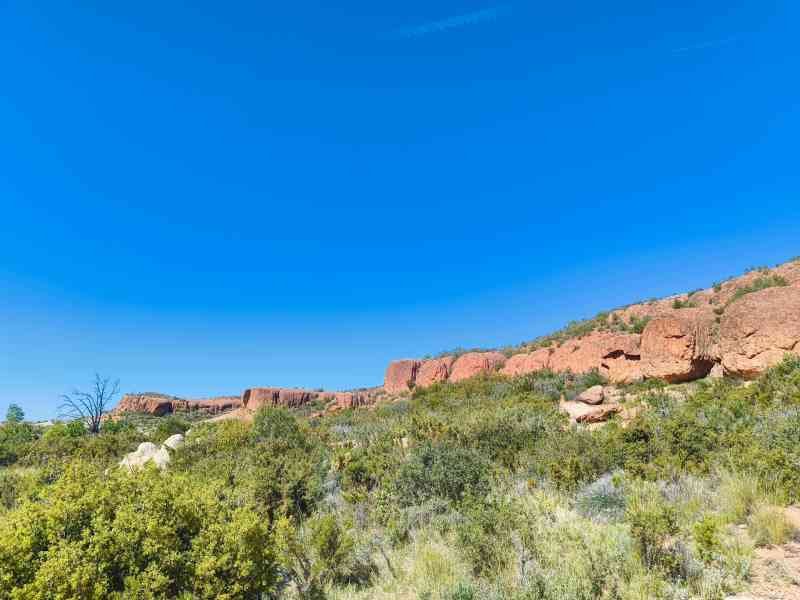 Un paysage végétatif avec des formations rocheuses, photo gratuite
