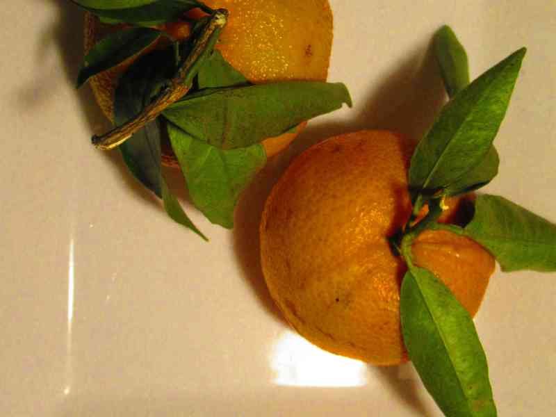 Mandarines fraîches avec des feuilles sur une assiette photo gratuite